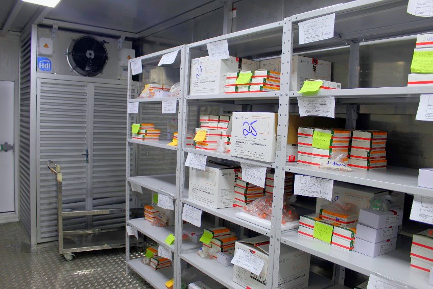 Estantes de armazenagem refrigerada